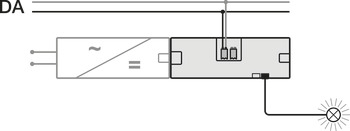2-fach Verteiler , Häfele Loox5 mit Steuereingang für DALI-2™ DT6